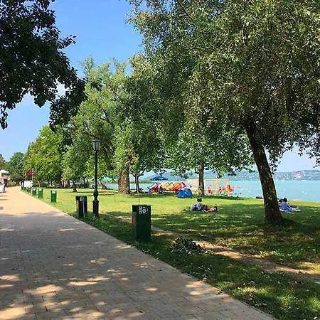 In - Balaton 20367 *