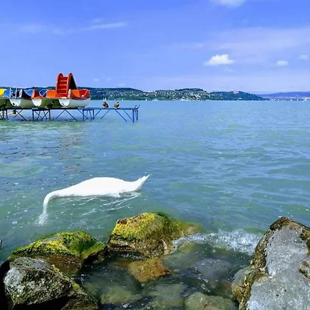 In - Balaton 20367 Апартаменты *